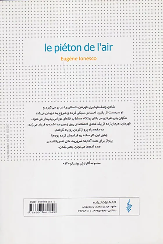 پیاده در هوا